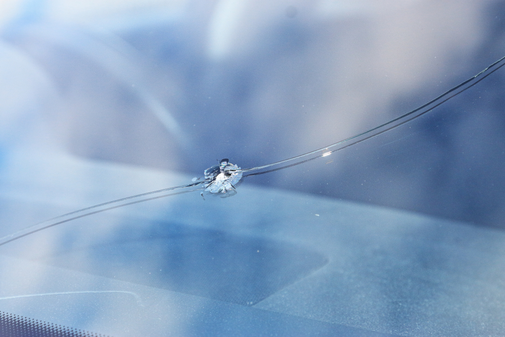 Windscreen Chip